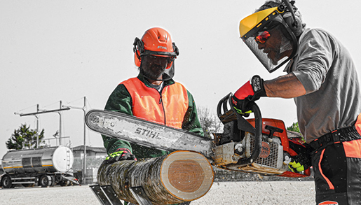 Aggiornamento - Addetti utilizzo motosega