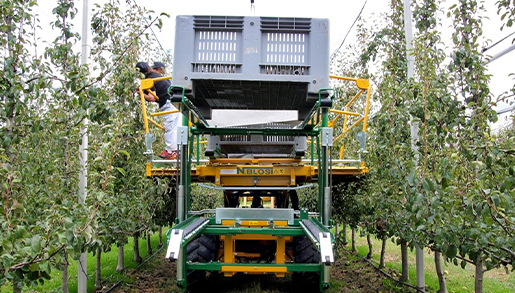 Aggiornamento - Addetti macchina agricola raccoglifrutta - formazione specifica